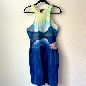 NWOT Mountain Bodycon Dress